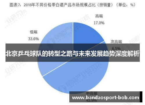 北京乒乓球队的转型之路与未来发展趋势深度解析