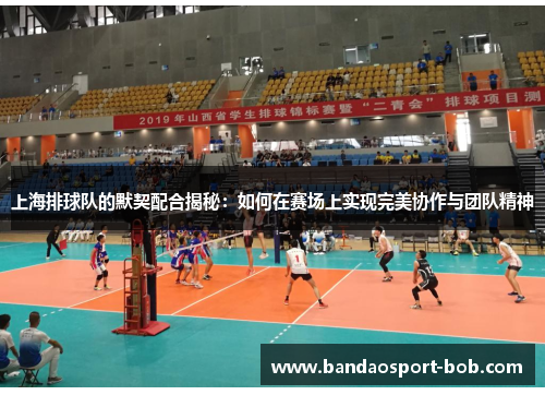 上海排球队的默契配合揭秘：如何在赛场上实现完美协作与团队精神