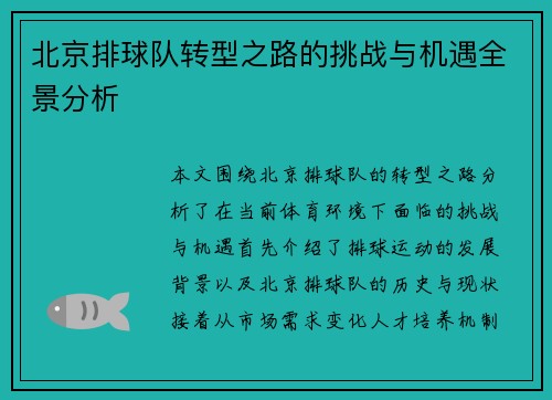 北京排球队转型之路的挑战与机遇全景分析